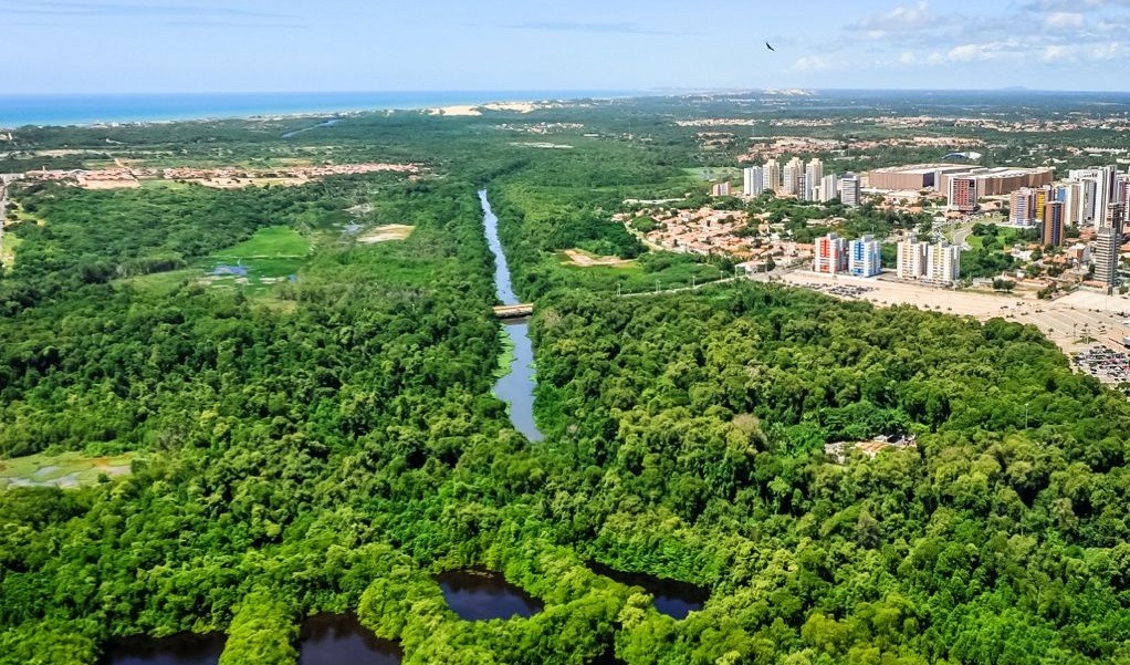 Ceará é o estado com maior queda no índice de desmatamento na Mata Atlântica