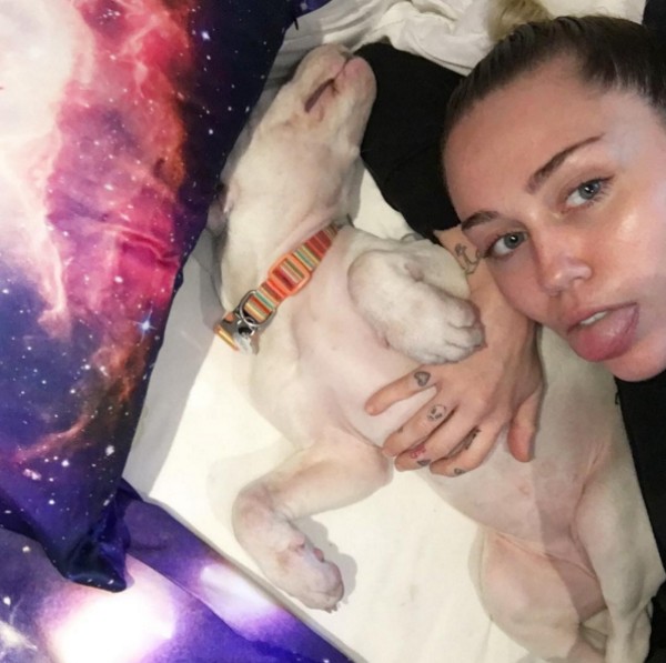 Miley Cyrus tirou uma foto enquanto Milky dormia (Foto: Reprodução/Instagram)