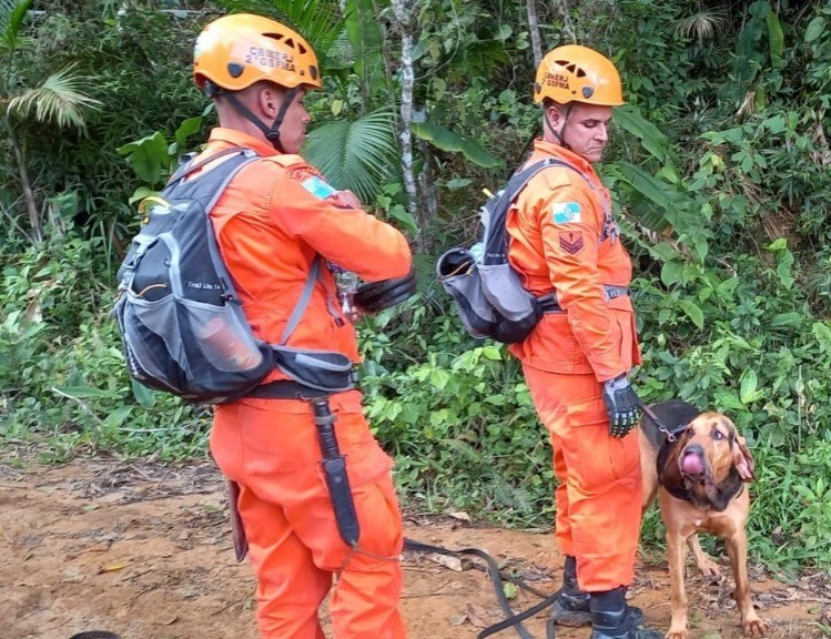 Cão de resgate dos bombeiros identifica o que seriam rastros da passagem de idoso desaparecido em área de mata em Paraty