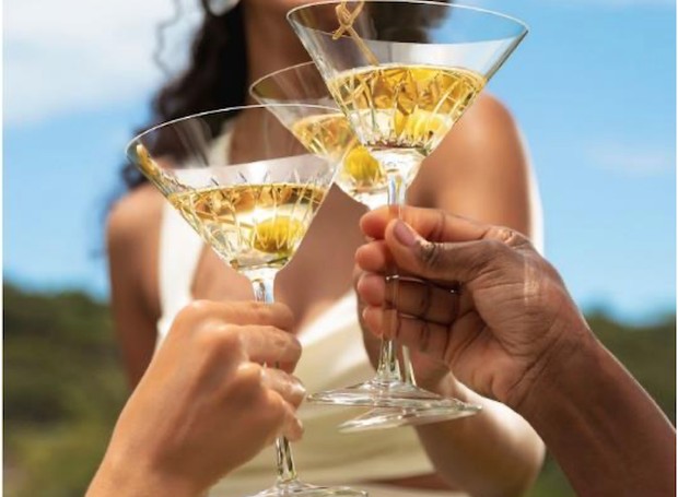 A taça de cristal para Dry Martini com lapidação Blooming, é novidade da marca Strauss (Foto: Strauss/ Divulgação)