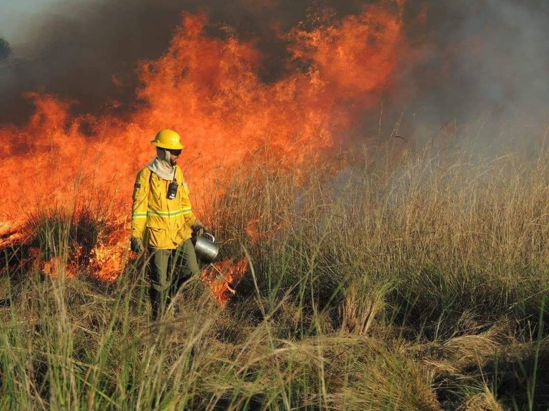 Combate a incêndio florestal (Foto: Arquivo pessoal)