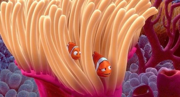 Nemo e seu pais em sua casa, uma anêmona (Foto: Pixar/ Reprodução)