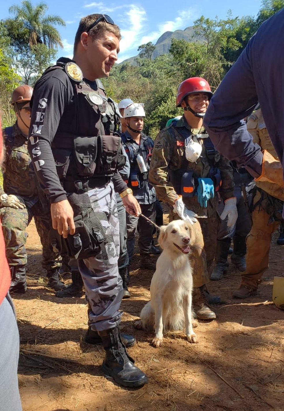 Cadela Toya achou o corpo da turista Fabiane Fernandes — Foto: Danilo Girundi/TV Globo