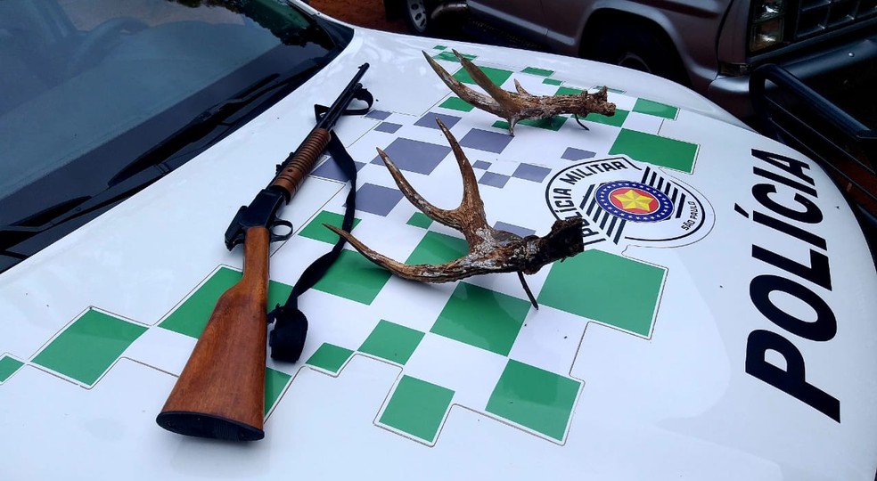 Itens foram apreendidos em uma fazenda, em Anhumas — Foto: Polícia Militar Ambiental