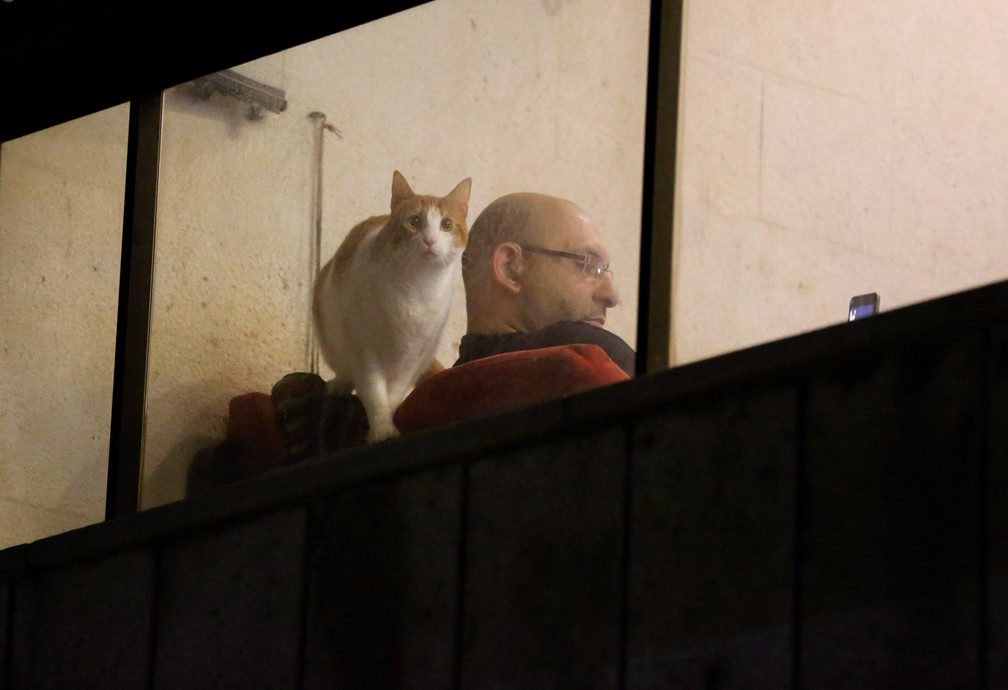 Um homem mexe no celular enquanto seu gato olha pela janela de uma sacada em Beirute, no Líbano, nesta terça-feira (31), durante isolamento para evitar a propagação do novo coronavírus — Foto: Hussein Malla/AP