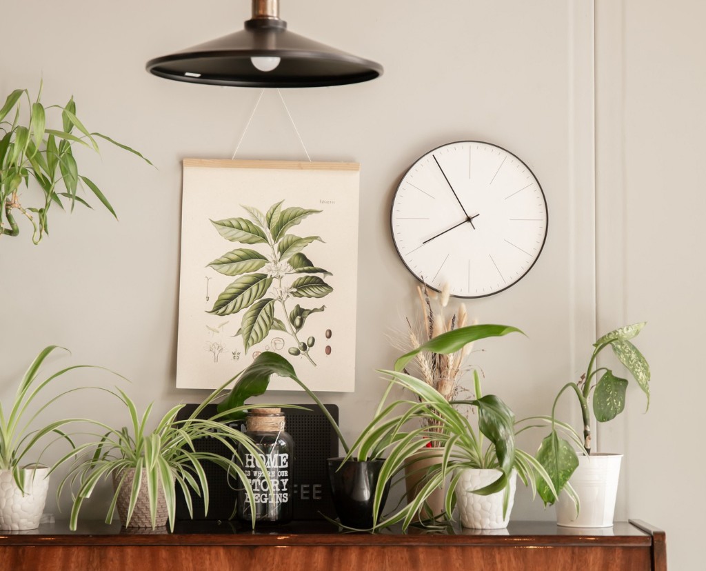 Selecionamos dez tipos de plantas que se desenvolvem bem no interior, ideais para decorar a casa (Foto: Freepik / pvproductions / CreativeCommons)