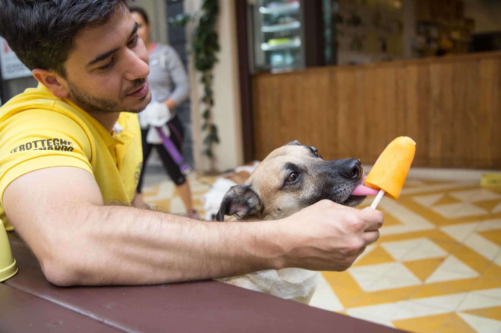 Para quem quer se refrescar junto com os pets, o Le Botteghe Di Leonard possui uma linha de picolés desenvolvida especialmente para os cães (Foto: Divulgação)