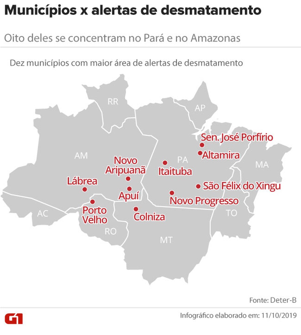 Metade dos dez municípios com maior área de alertas de desmatamento está no Pará — Foto: Rodrigo Cunha/G1