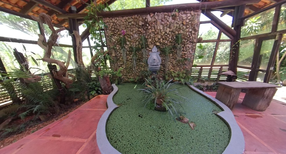 Jardim Botânico de Brasília cria tour virtual gratuito em 360 graus — Foto: JBB/Reprodução