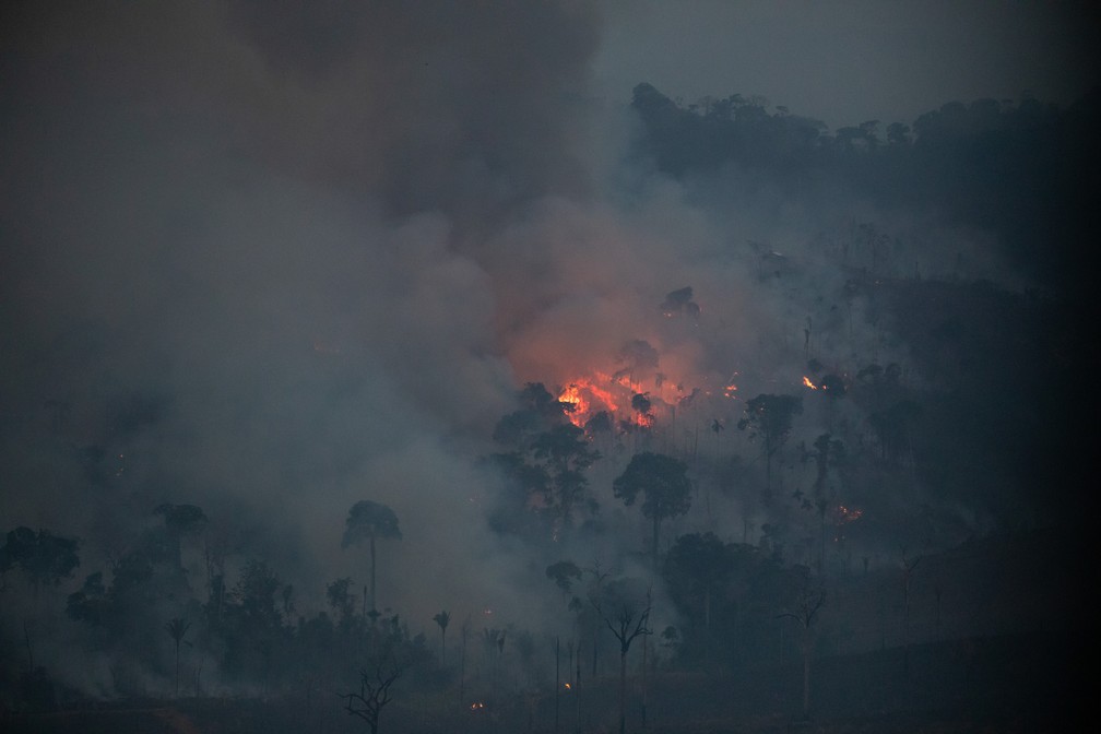 Sobrevoo na região da Amacro (Amazonas, Acre e Rondônia), em uma área com cerca de 8.000 hectares de desmatamento - a maior em 2022 - que está queimando há dias. — Foto: © Nilmar Lage / Greenpeace / Divulgação