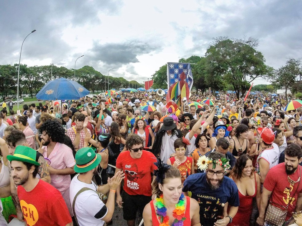 Bloco Suvaco da Asa, em Brasília — Foto: Suvaco da Asa/Divulgação