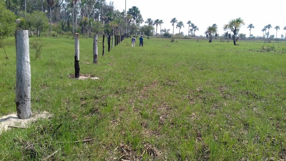 Segundo os indgenas, fazendeiros passaram a aumentar a rea que possuam no local, fazendo novas demarcaes (Foto: Pedro Kanela/Arquivo Pessoal)