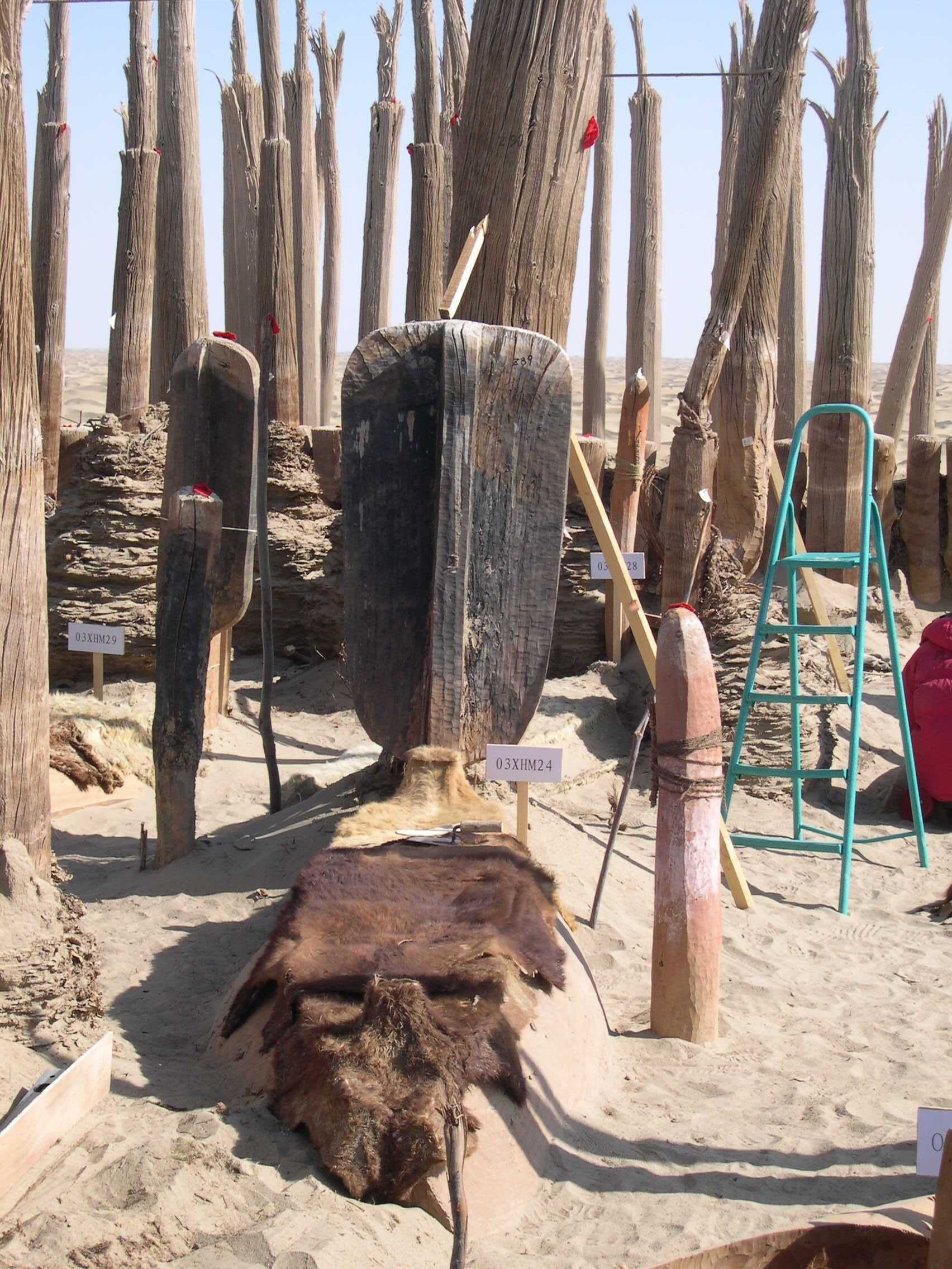 Caixão-barco coberto com pele de gado foi encontrado nas Tumbas de Xiaohe  (Foto: Wenying Li, Xinjiang Institute of Cultural Relics and Archaeology)