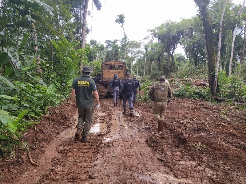 Em MT, fiscais que atuam contra o desmatamento da Amazônia enfrentam rotina exaustiva 