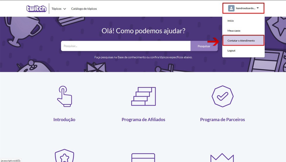 Logado na plataofrma, clique no 'Perfil' e, em seguida, 'Contatar o atendimento' — Foto: Reprodução/Leandro Eduardo