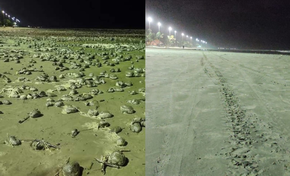 Bolas desapareceram das praias de Peruíbe, SP, após cerca de 24h — Foto: Diogo Cavalcanti de Souza/Arquivo Pessoal