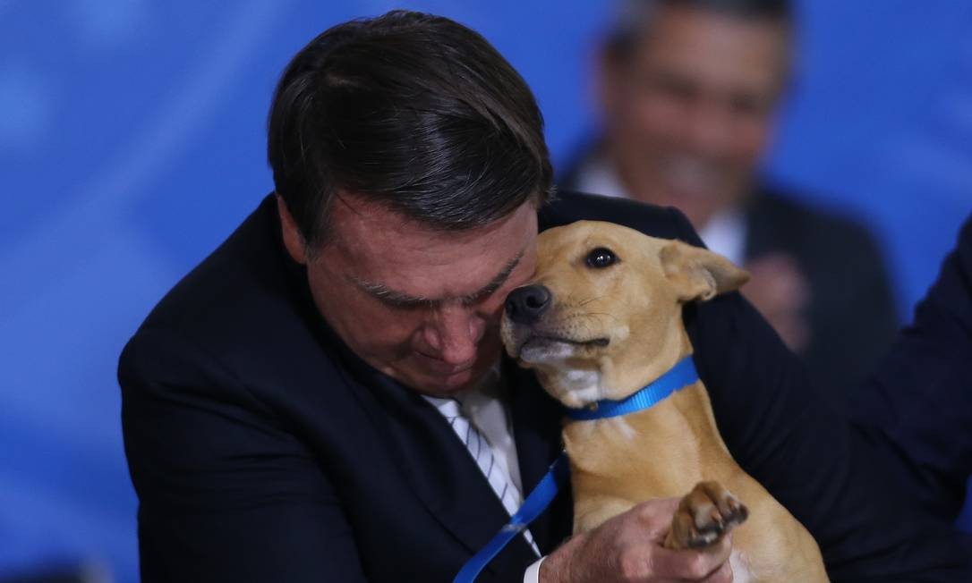 O presidente Jair Bolsonaro com o seu cachorro Nestor em cerimônia no Palácio do Planalto (Foto: Jorge William/ Agência O Globo/ Reprodução)