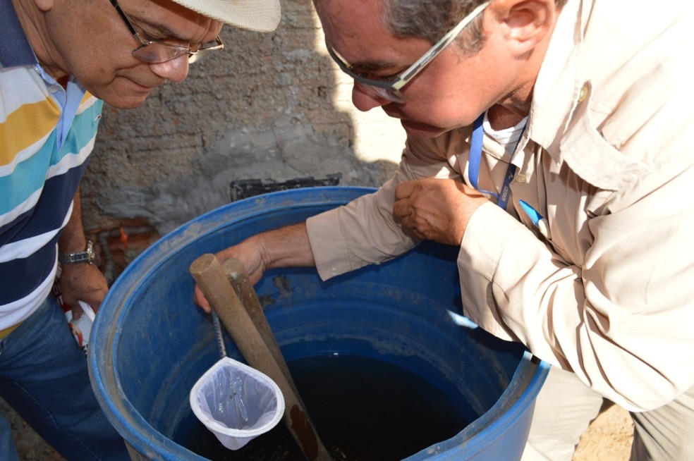 Evite deixar caixas d'água abertas e mantenha-as limpas — Foto: Divulgação/FMS