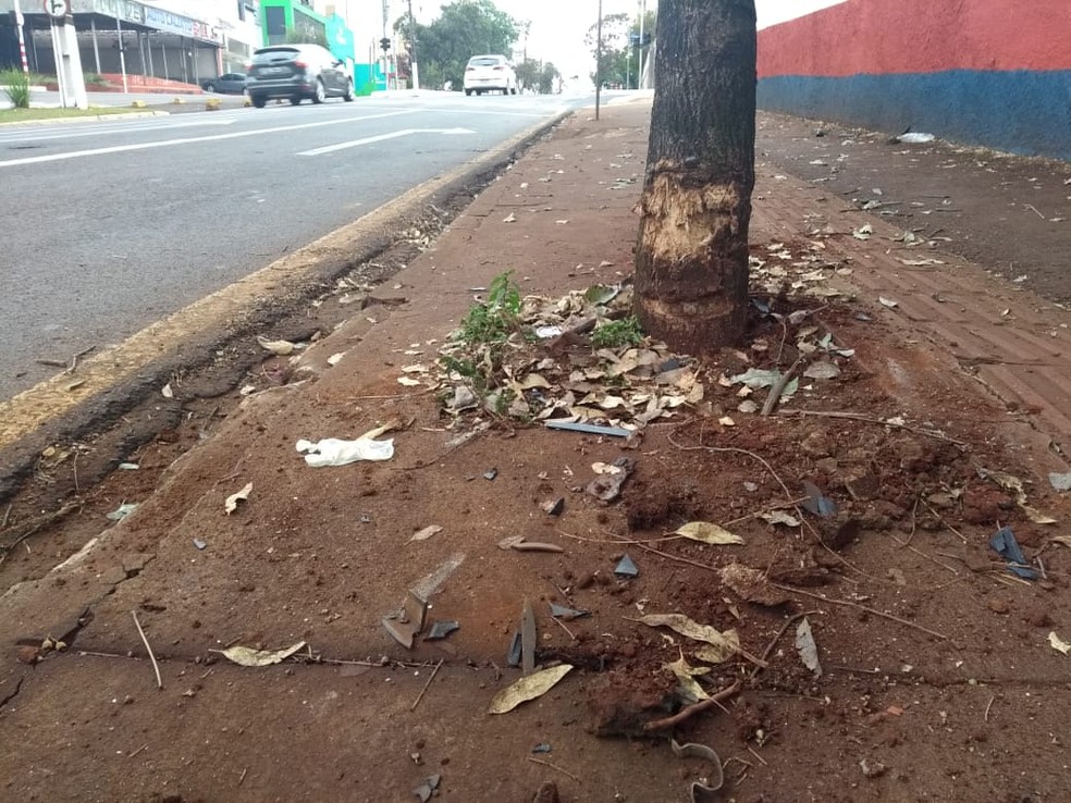 Passageira morreu após veículo bater em árvore em Londrina — Foto: Patrícia Piveta/RPC Londrina