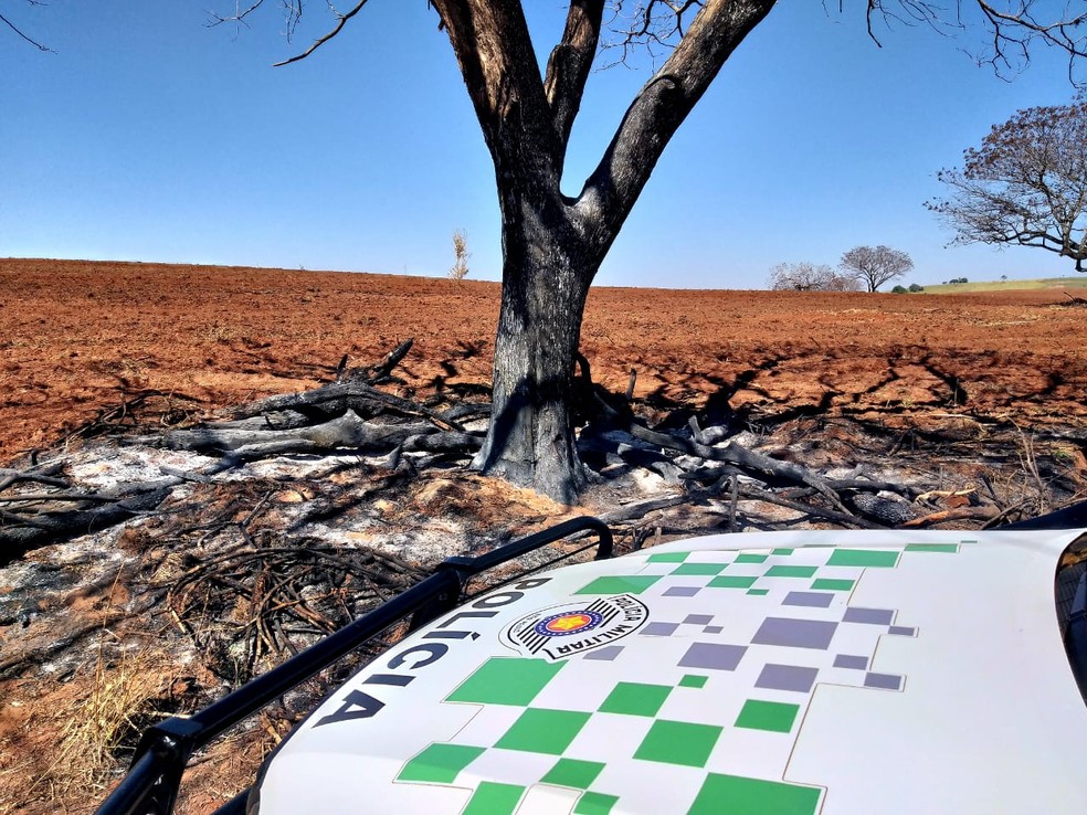 Degradação ambiental foi constatada em sítio em Mirante do Paranapanema — Foto: Polícia Militar Ambiental