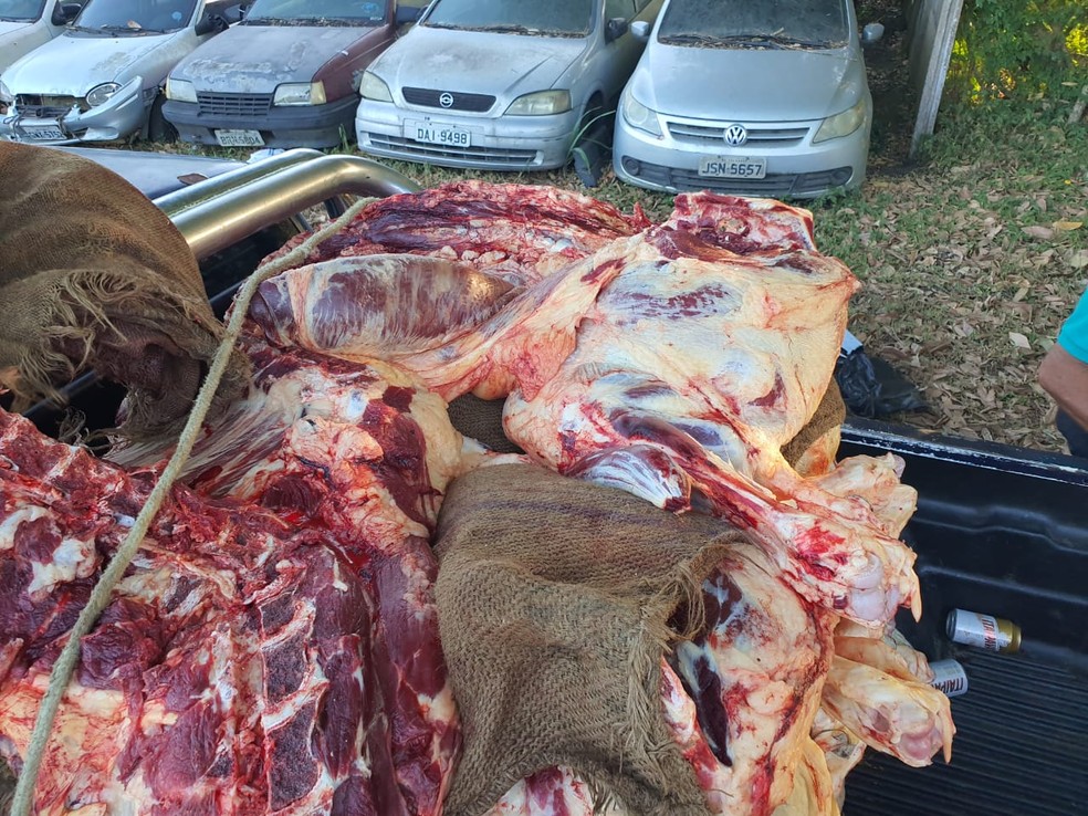 Carne bovina transportada de forma indevida é apreendida na Bahia — Foto: Polícia Rodoviária Federal