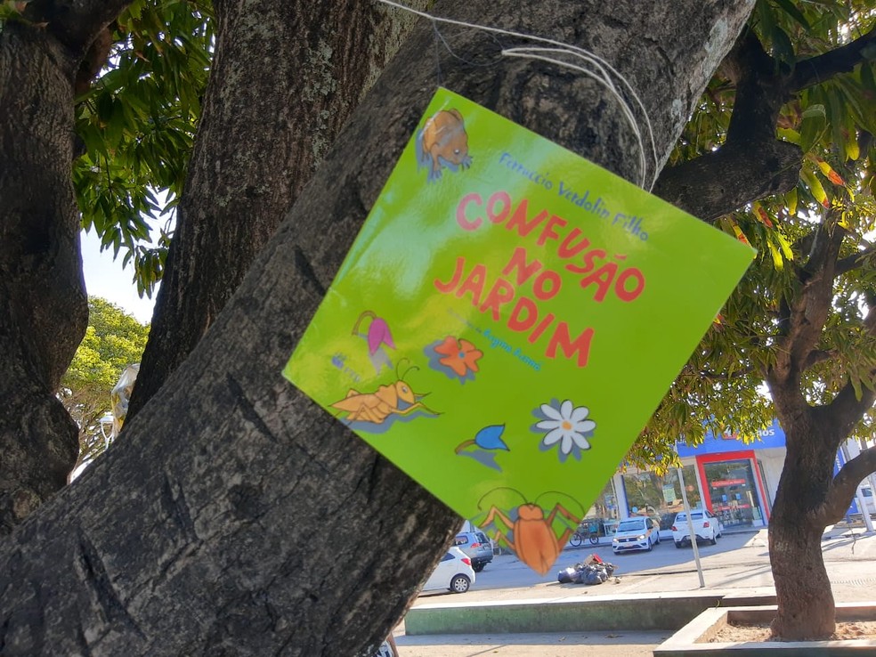 Livros infantis foram pendurados em árvores na Praça da Faculdade, Maceió — Foto: João Vitor Ferreira/G1