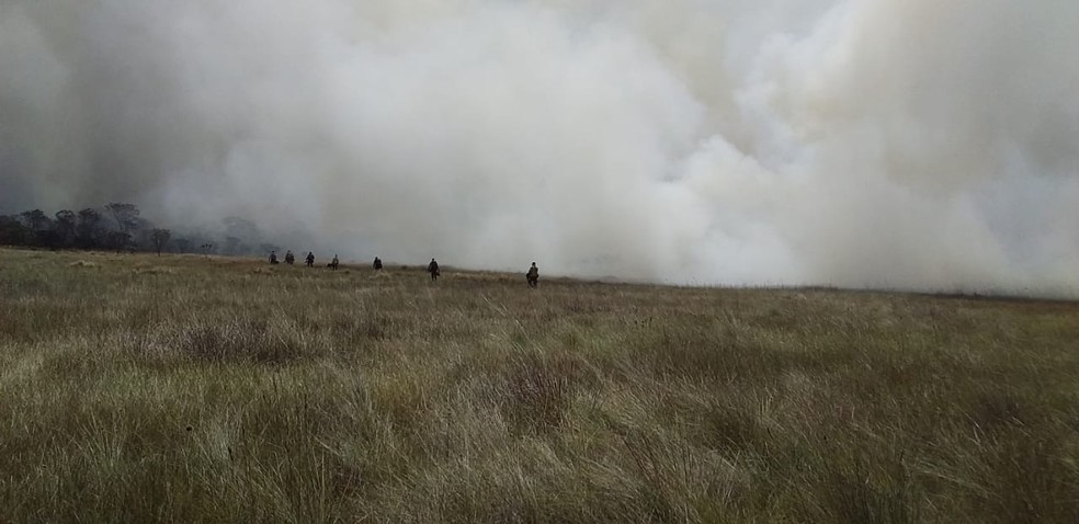 Brigadista voluntários do DF em meio a fumaça, na Chapada dos Veadeiros, em Goiás — Foto: Grupo Ambientalista do Torto