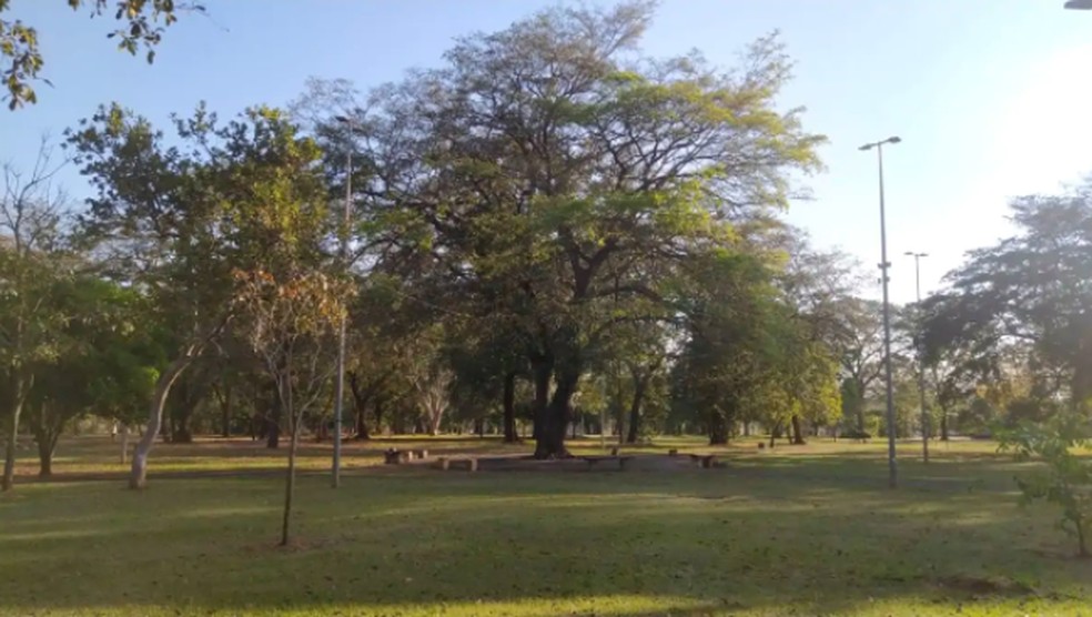 Praça do Carandá Bosque, local onde será realizada a Feira Bosque da Paz. — Foto: Reprodução