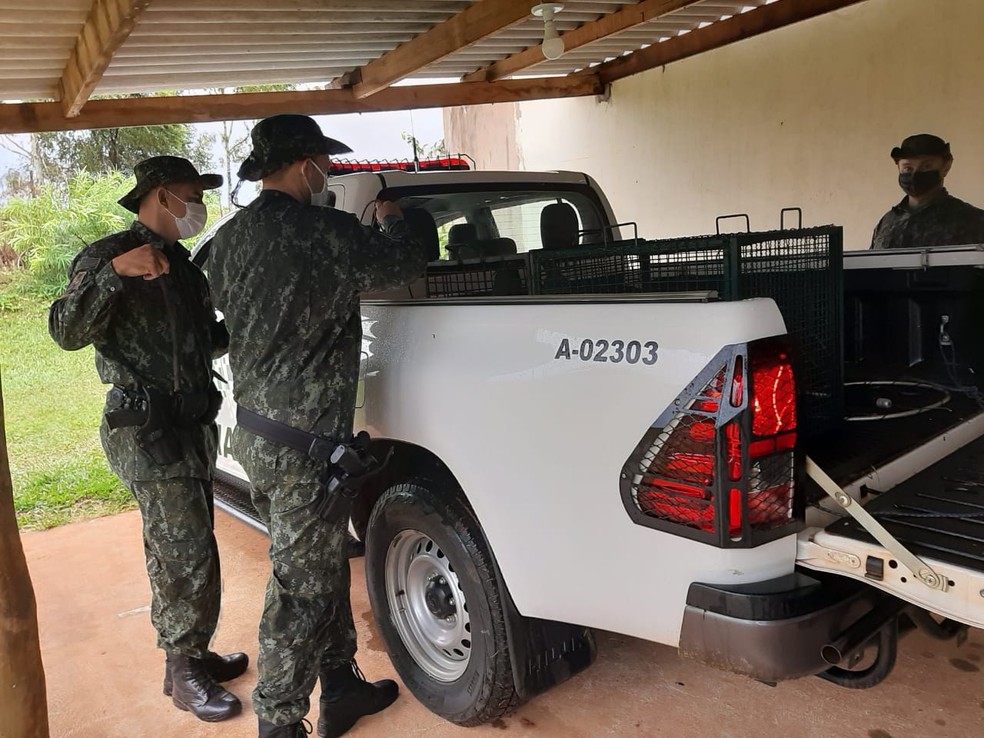 Operação da Polícia Ambiental apreendeu diversas espécies de animais em Presidente Prudente — Foto: Polícia Ambiental