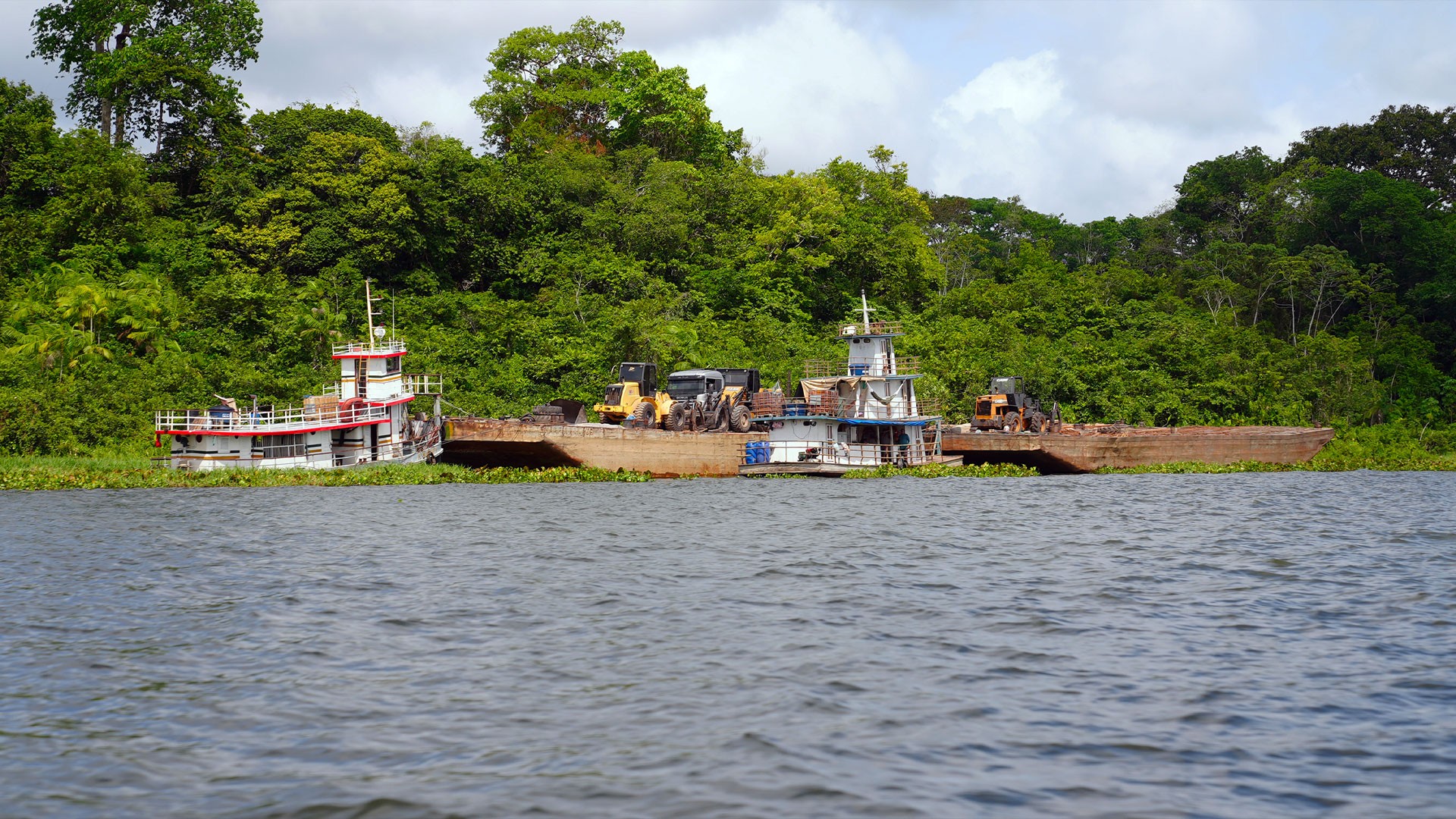 Fraude na Amazônia: como é Portel, cidade onde empresas particulares estão usando terras públicas para emitir créditos de carbono