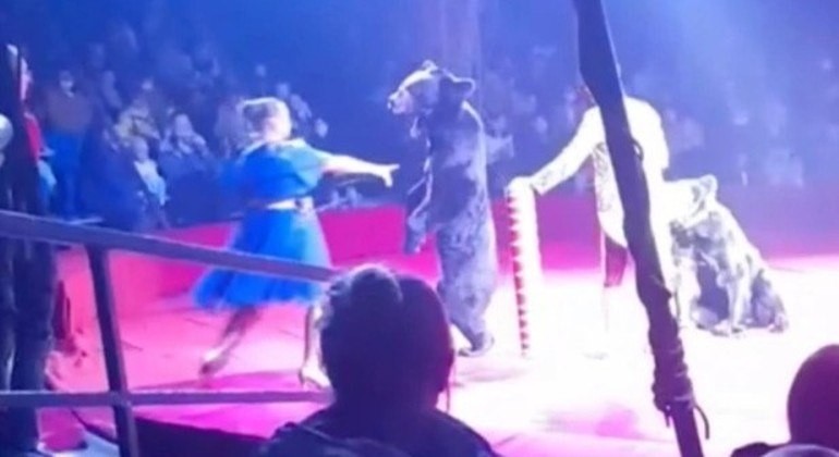 Vídeo flagra momento em que tratadora grávida é atacada por urso ciumento em circo (Foto: Reprodução / YouTube)