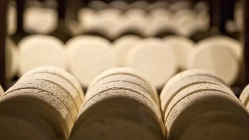 O queijo tem fama de induzir pesadelos ou sonhos intensos quando consumido tarde da noite. Mas isso tem alguma comprovação? (Foto: BLOOMBERG CREATIVE/GETTY IMAGES via BBC News Brasil )