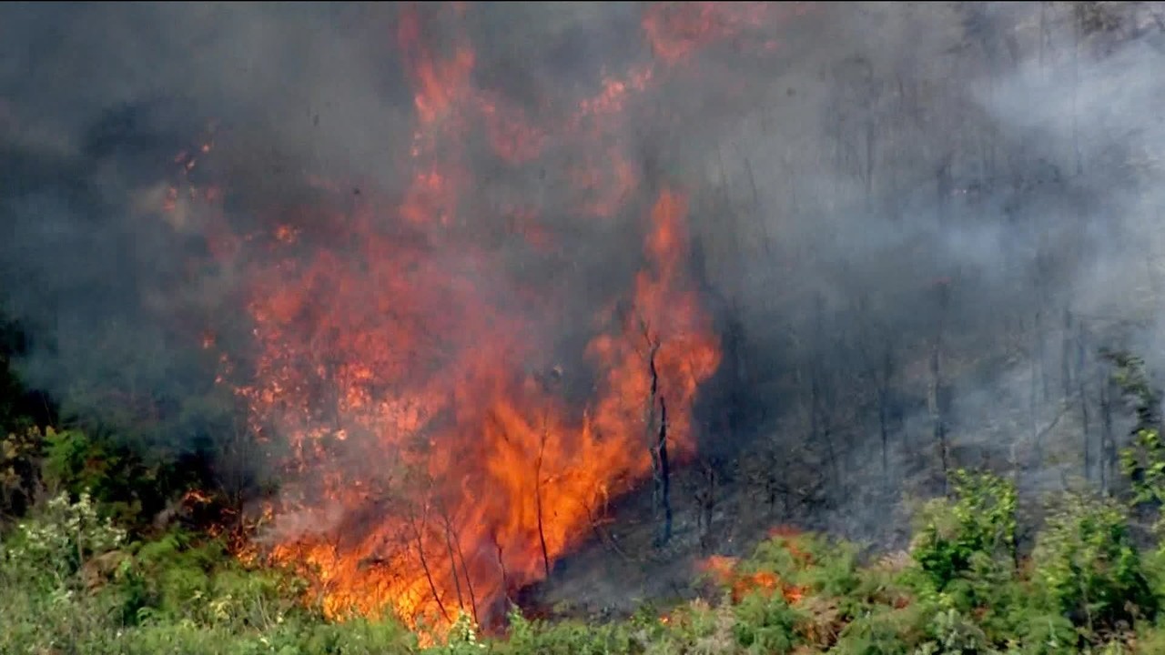 Fumaça das queimadas no Pantanal, falta de vento e chuva aumentam poluição em SP