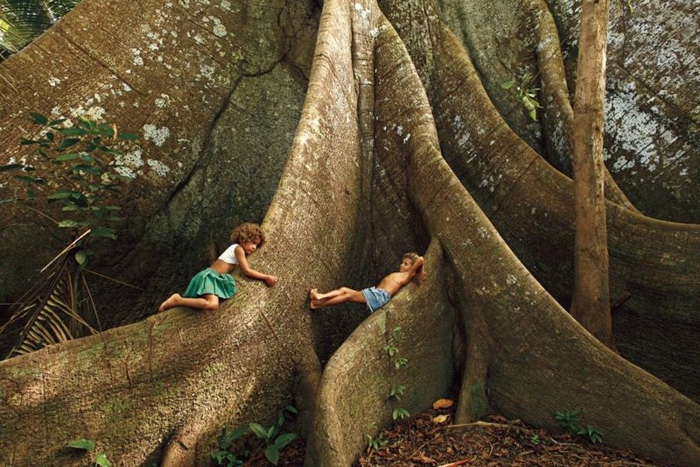 Fotógrafo registra há 50 anos a natureza que o Brasil está destruindo — Foto: Araquém Alcântara