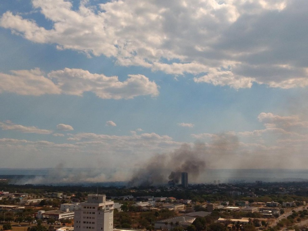 Fogo surgiu perto de quadras do plano diretor sul &mdash; Foto: M&aacute;rcia Mantovani/Divulga&ccedil;&atilde;o