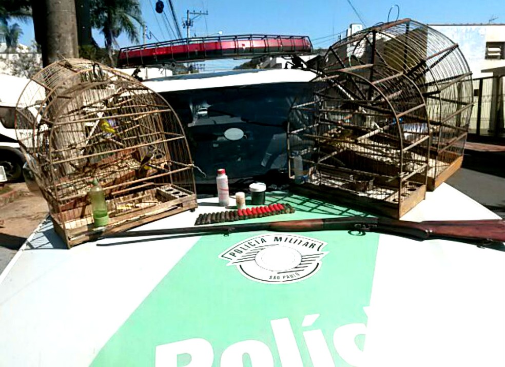 Polícia Ambiental apreendeu gaiolas, pássaros, armas e munições em Lençóis Paulista (Foto: Divulgação / Polícia Ambiental)