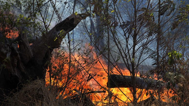 Fogo, queimada, Amazônia, Altamira, floresta, Pará, BR-163, rodovia, desmatamento  (Foto: Emiliano Capozoli/Ed.Globo)
