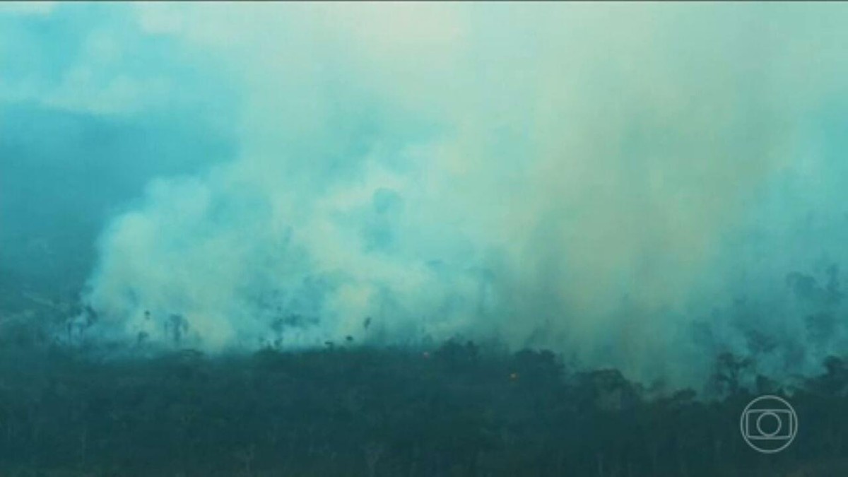 Emissão de gases do efeito estufa aumenta 40% desde 2010; desmatamento é a principal causa
