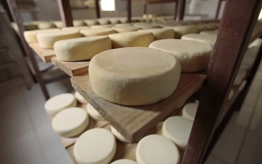 Le fromage Canasta est élu meilleur au monde dans un classement international ;  voir d’autres copies primées – Small Businesses Big Business