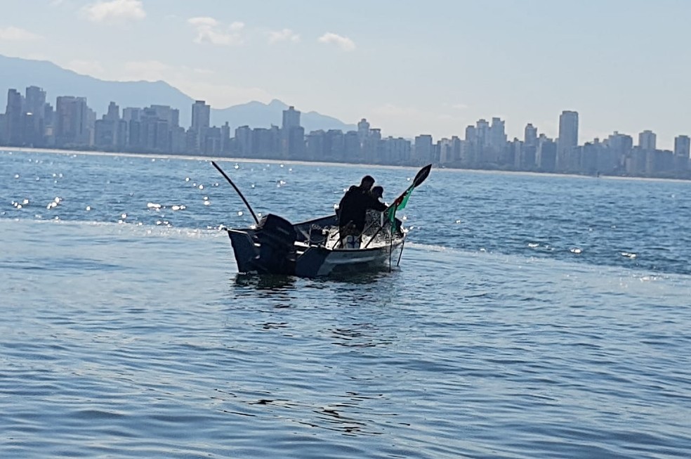 Pescadores foram autuados ap&oacute;s serem flagrados sem documentos em Santos, SP &mdash; Foto: Divulga&ccedil;&atilde;o/Pol&iacute;cia Ambiental