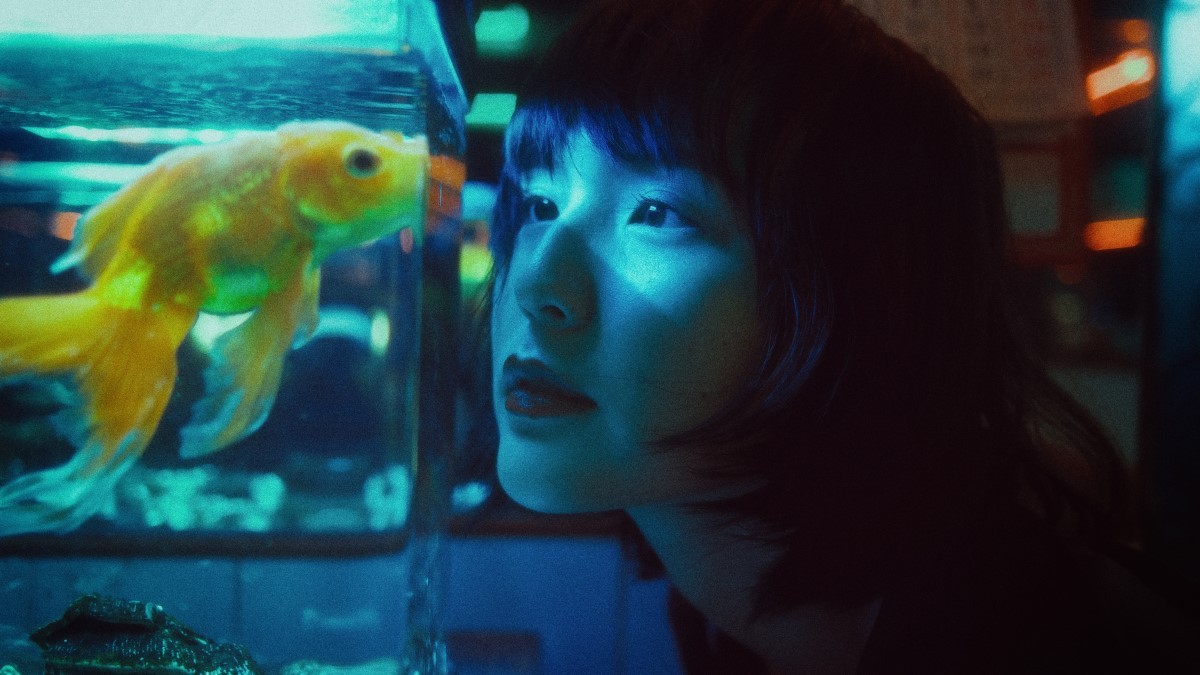 Os especialistas não recomendam deixar o aquário em locais com muito barulho  (Foto: Pexels/ Khoa Võ/ CreativeCommons)