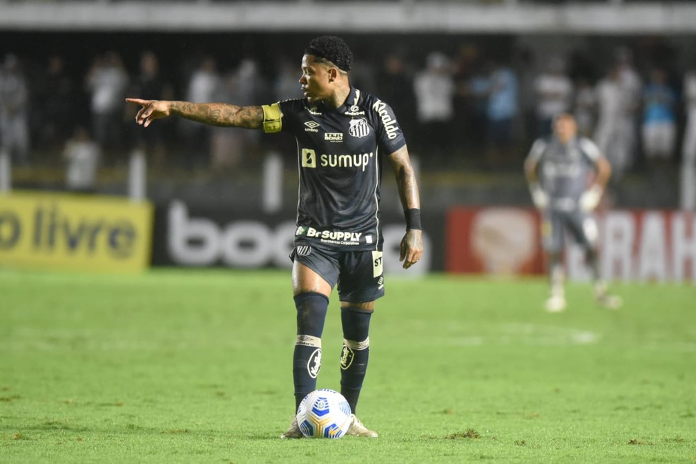 Marinho em Santos x Fluminense — Foto: Ivan Storti/Santos FC