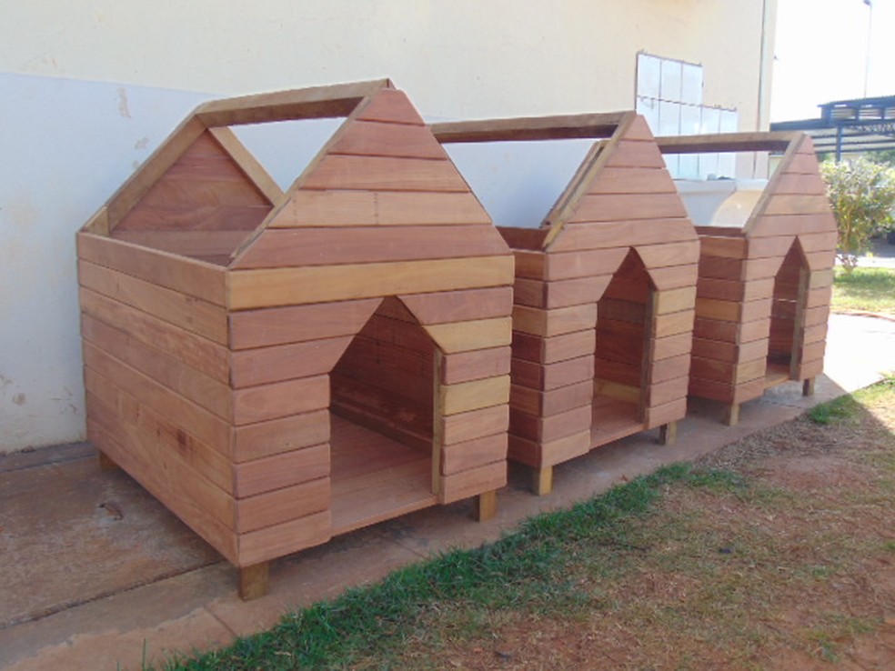 Madeira ilegal apreendida pela Polícia Ambiental é encaminhada a presos para a produção de abrigos para animais — Foto: Secretaria de Administração Penitenciária