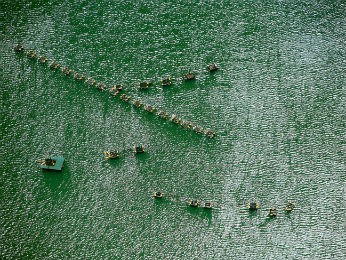 Criação de peixes em tanques-rede no lago teve início em 2003 (Foto: Divulgação / Itaipu Binacional)