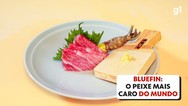 Camarão entre os mais saborosos do mundo tem mais de 30 cm e custa R$ 400 por quilo: 'Raridade'