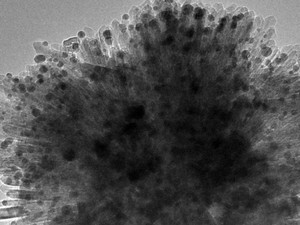 Estrutura com óxido de titânio com nanopartículas de ouro (Foto: Divulgação/LNLS)