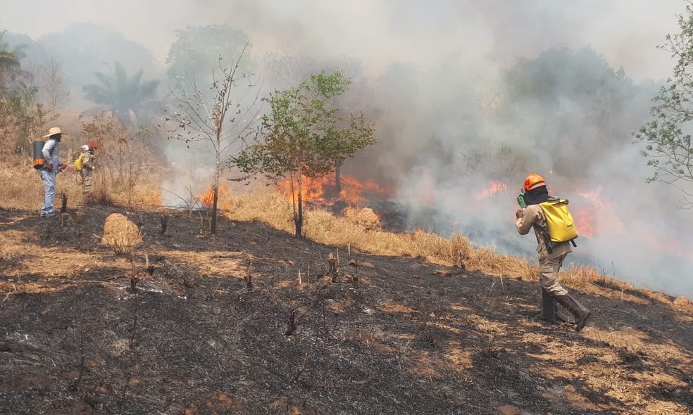 Bombeiros e moradores lutam para extinguir as chamas na comunidade João-de-barro — Foto: Lorena Segala/TVCA