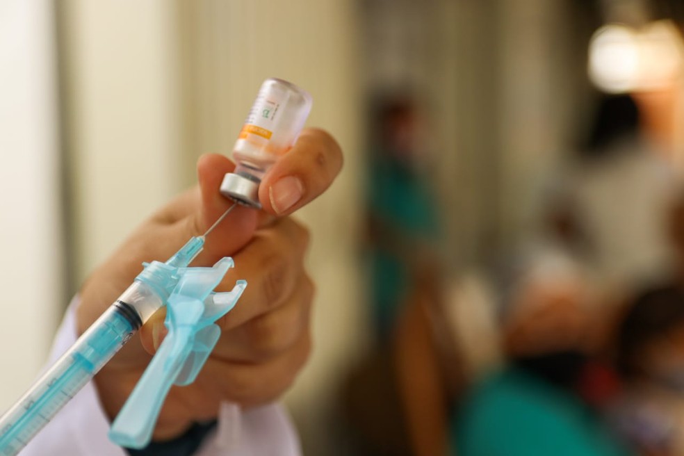 Para garantir controle, Secretaria de Sa&uacute;de de Petrolina divulga documentos  necess&aacute;rios para vacina&ccedil;&atilde;o contra a Covid-19 | Petrolina e Regi&atilde;o | G1