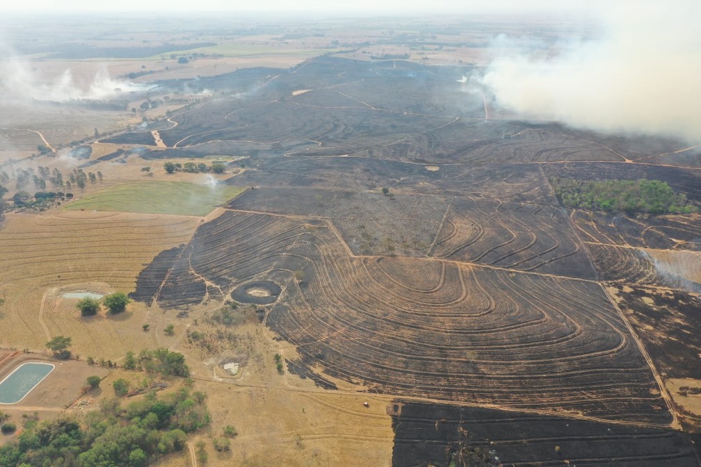 Incêndio em vegetação atingiu 400 mil metros quadrados e formou nuvem gigante de fumaça em Junqueirópolis — Foto: Márcio Cabanhas