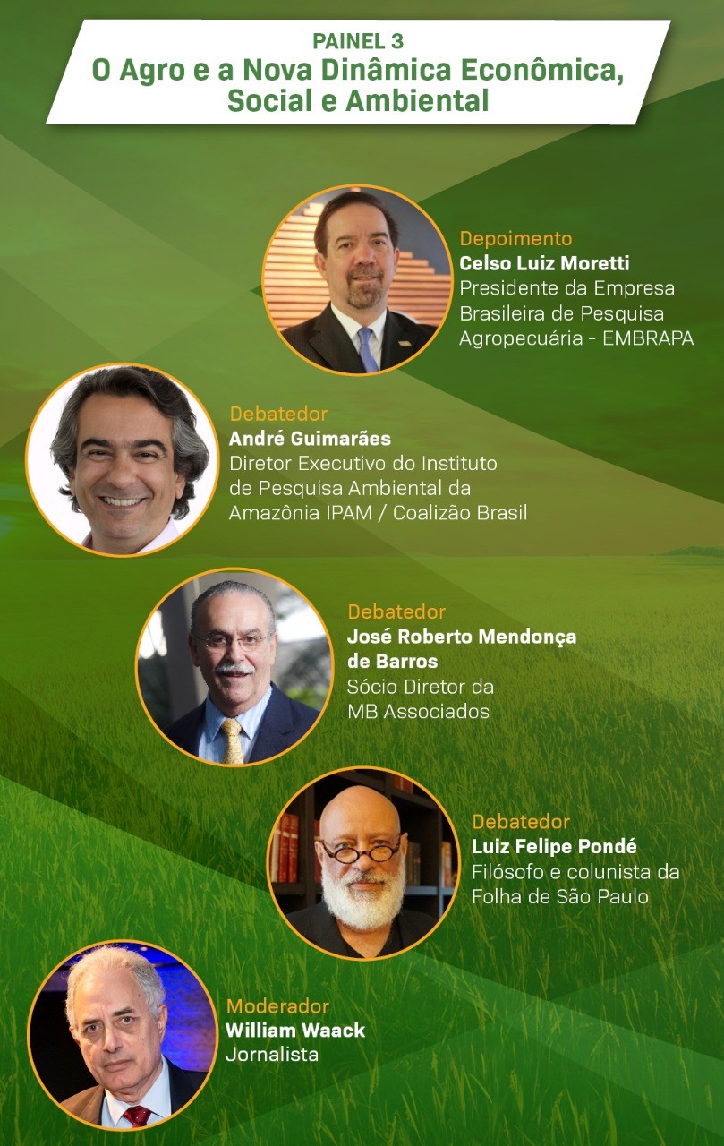 congresso-abag-painel3 (Foto: Divulgação)